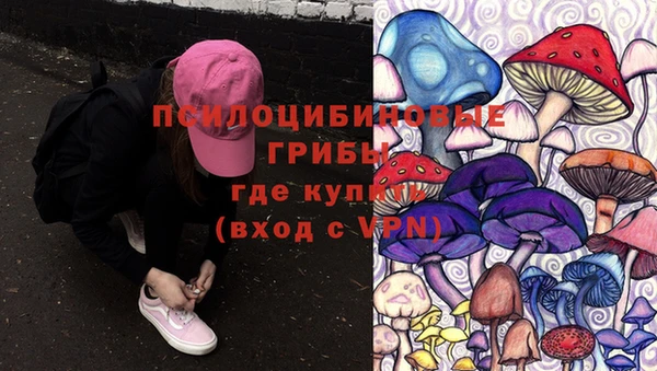 молекула духа Алексеевка